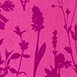 Floral Fuchsia
